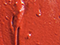 Soft Coral